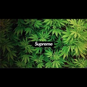 Meet your Posher, Andres